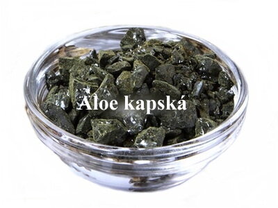 Aloe kapská