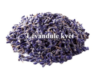 Levandule sušené květy