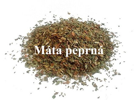 Máta peprná