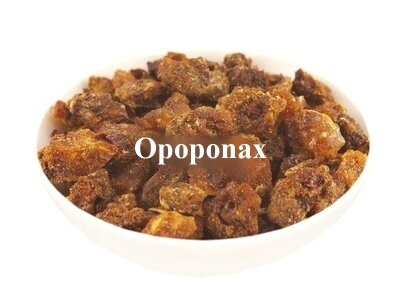 Opoponax