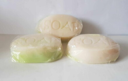 Mýdlo s přírodním gelem Aloe Vera s nápisem soap