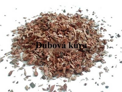 Dubová kůra