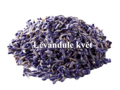Levandule sušené květy