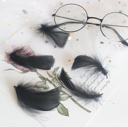 Přírodní husí peří - černé